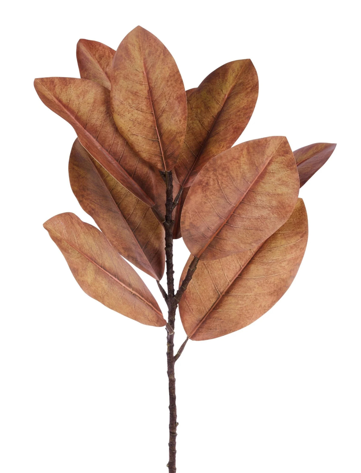 24.5" Magnolia Leaf Spray